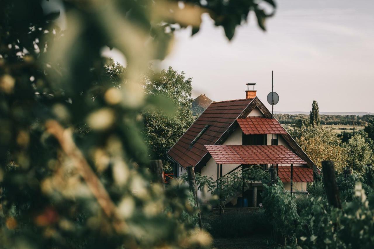 Szent Gyoergy Cottage Hegymagas المظهر الخارجي الصورة