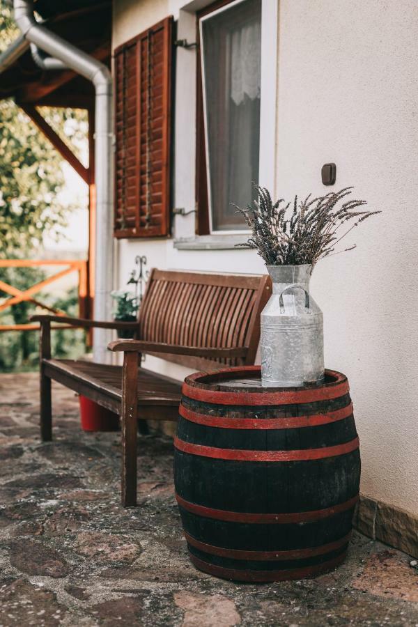 Szent Gyoergy Cottage Hegymagas المظهر الخارجي الصورة